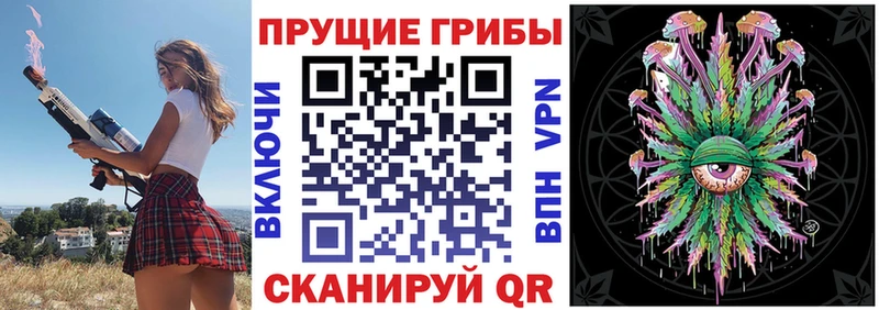 Купить где  Ельня  Галлюциногенные грибы MAGIC MUSHROOMS 